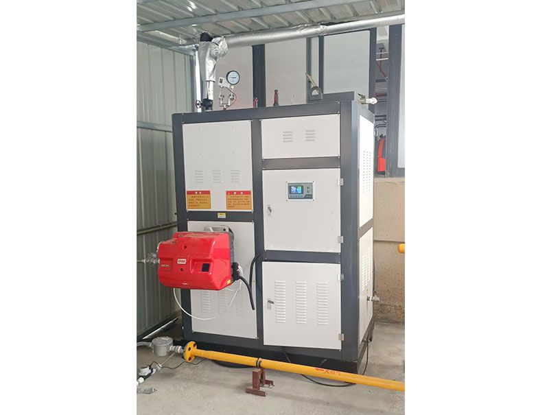 Automatic Control Gas/Diesel Steam Generator